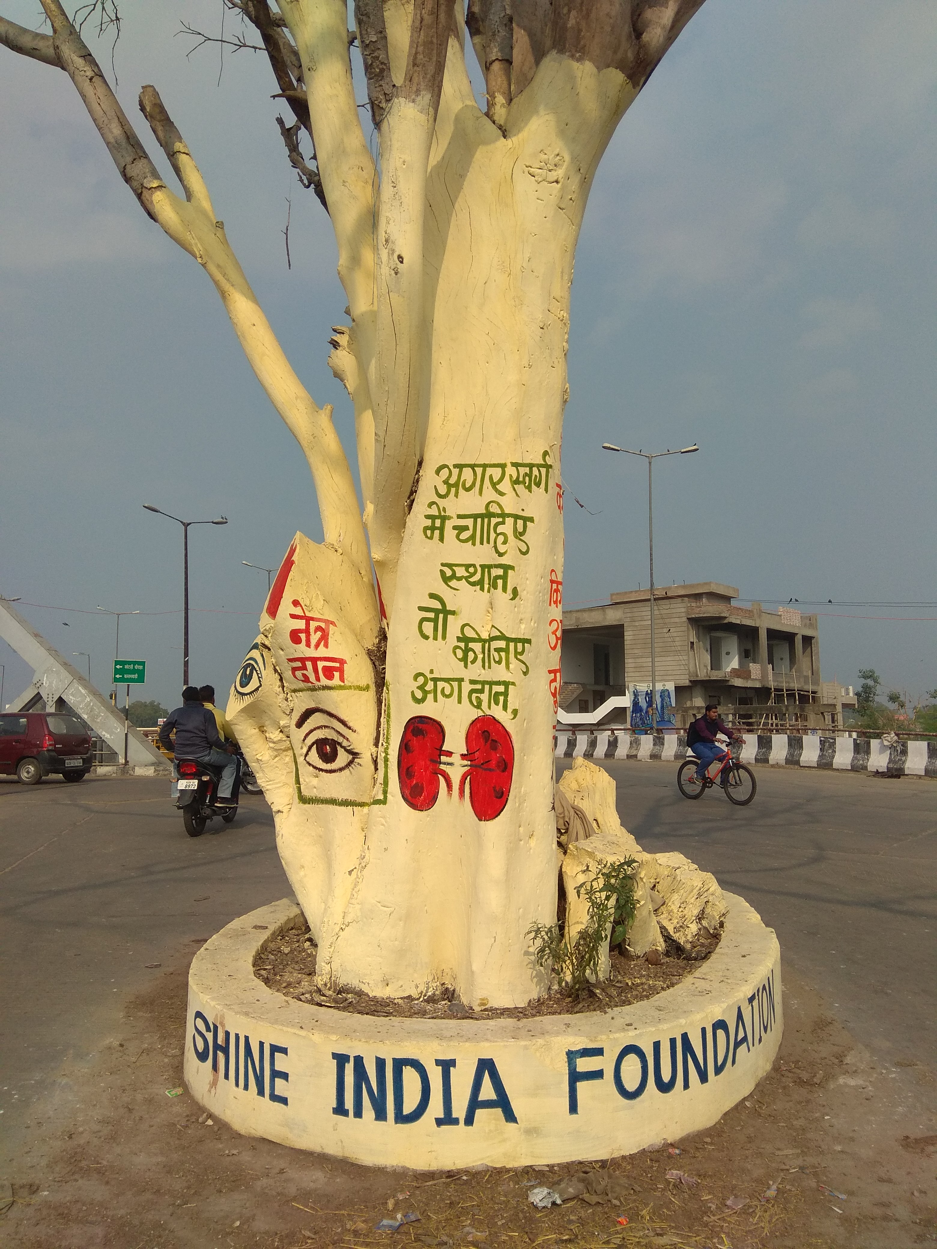 Shine India